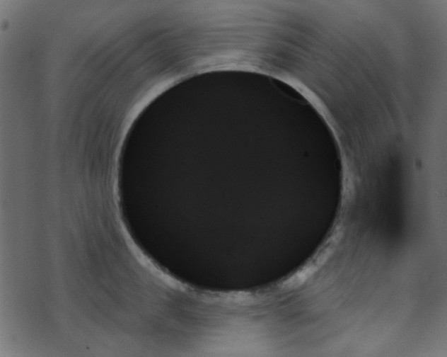 X0000070860957200606231249