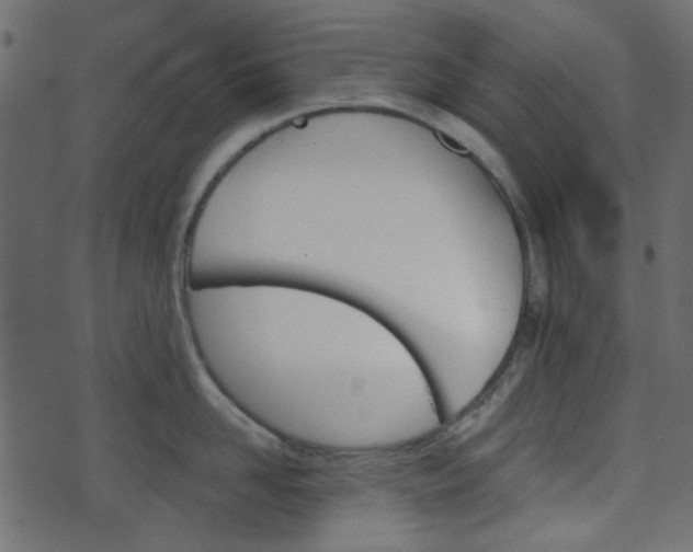 X0000070860958200606231250