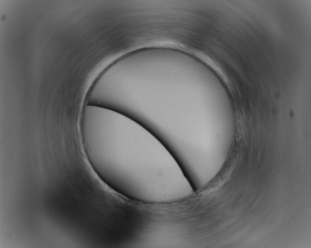 X0000070860959200606231250