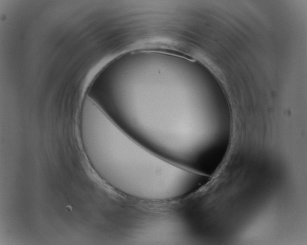 X0000070860960200606231250