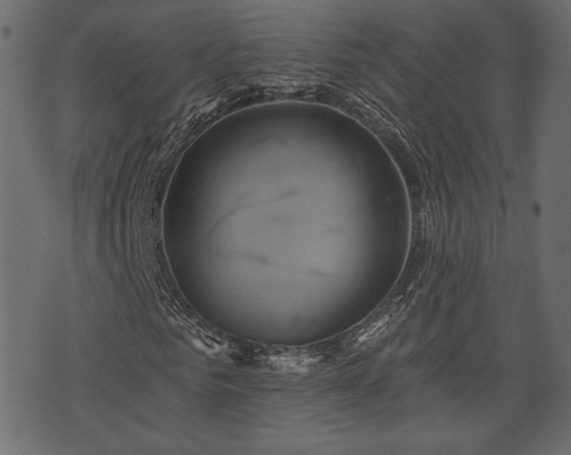 X0000070860961200606231249