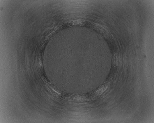 X0000070860962200606231249