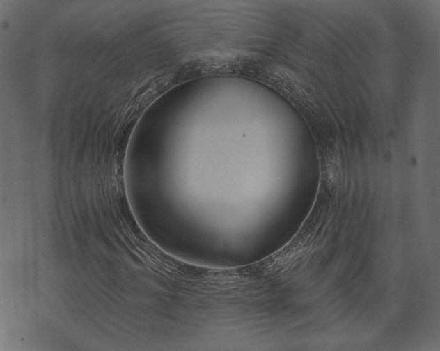 X0000070860964200606231249