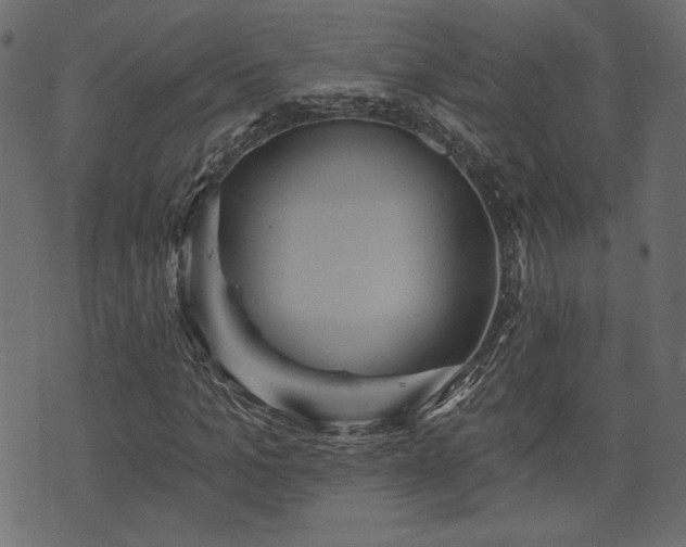 X0000070860965200606231249