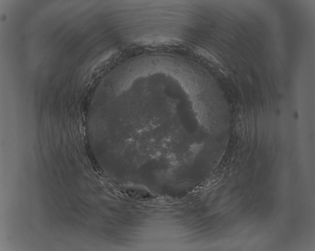 X0000070860966200606231249