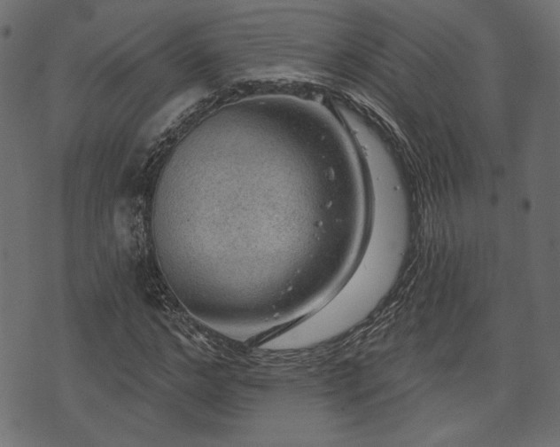 X0000070860968200606231249