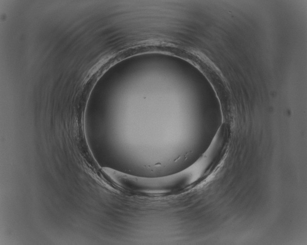 X0000070860969200606231249