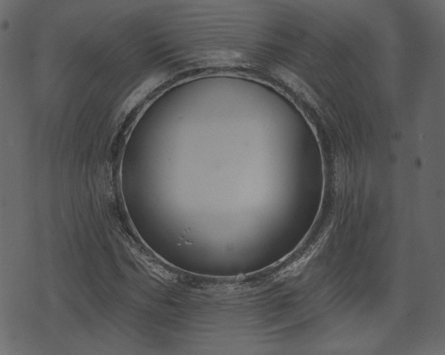 X0000070860970200606231249