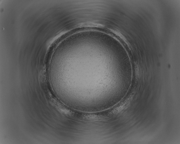 X0000070860971200606231249