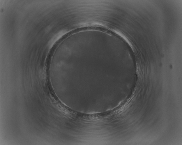 X0000070860975200606231249