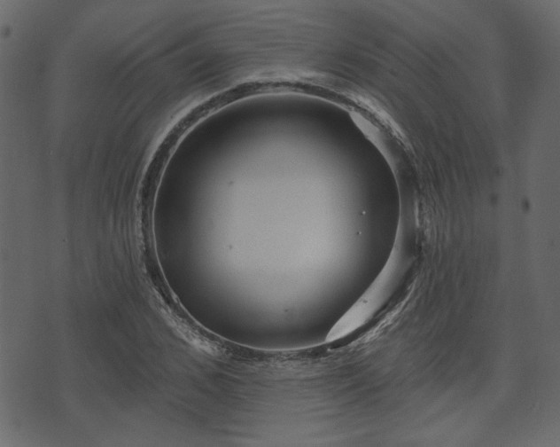 X0000070860976200606231249