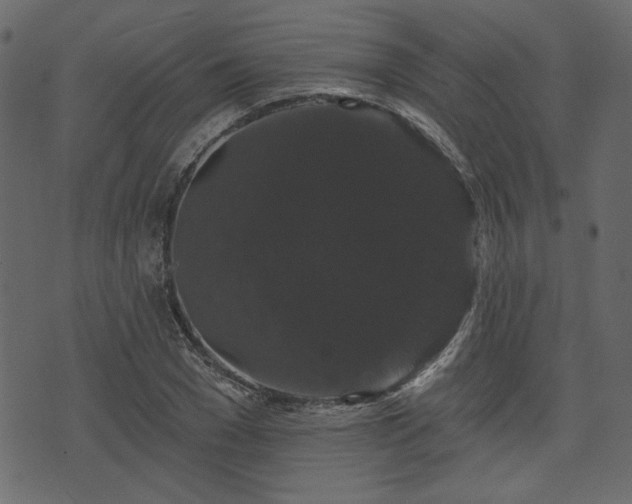 X0000070860977200606231249