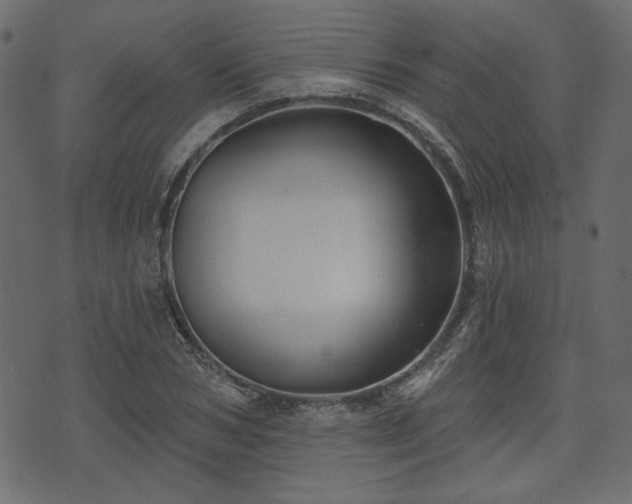 X0000070860978200606231248