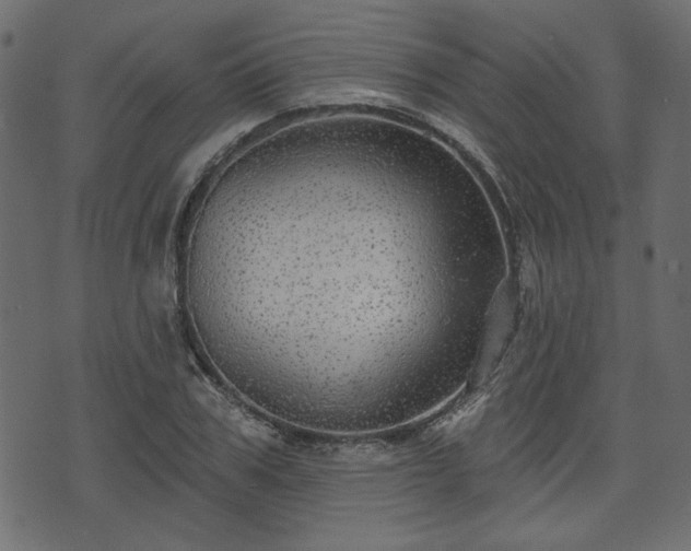 X0000070860979200606231248