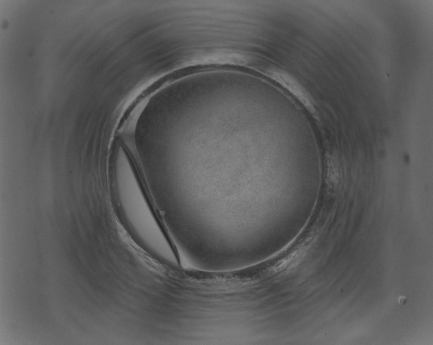 X0000070860980200606231248