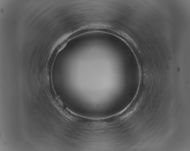 X0000070860981200606231248