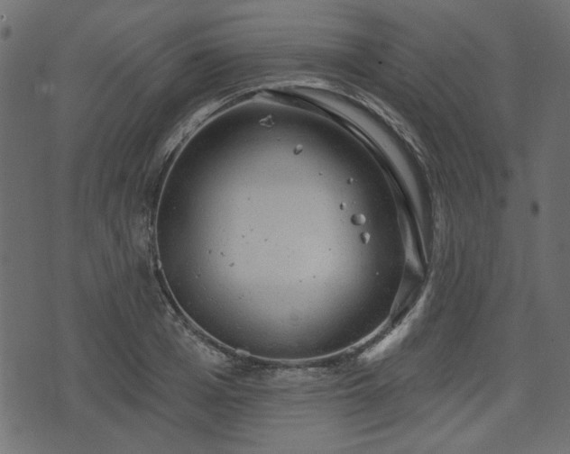 X0000070860985200606231248