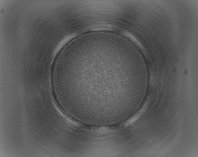 X0000070860986200606231248