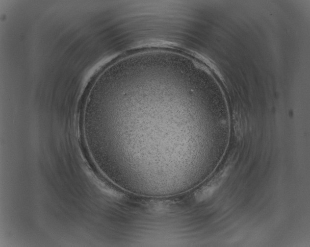 X0000070860987200606231248