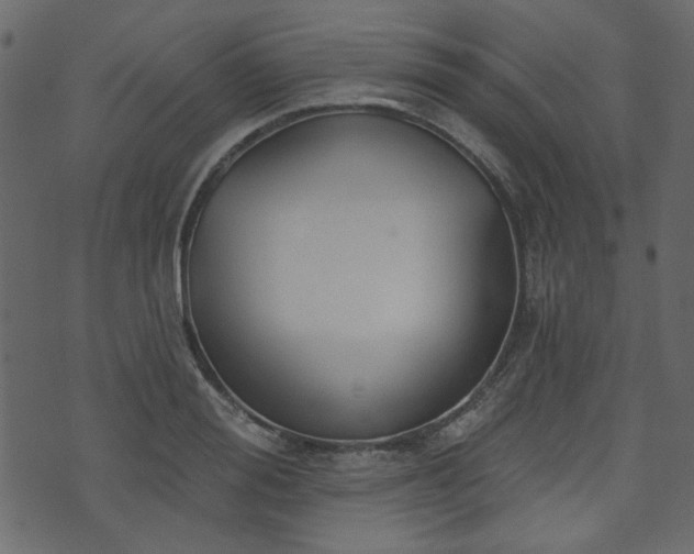 X0000070860988200606231248