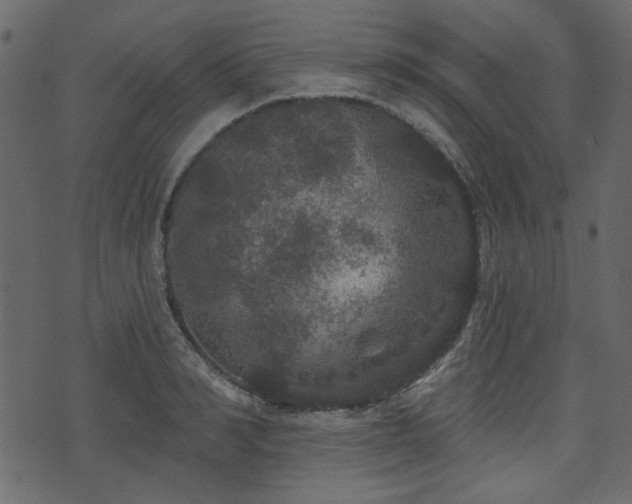 X0000070860990200606231248