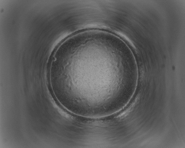 X0000070860991200606231248