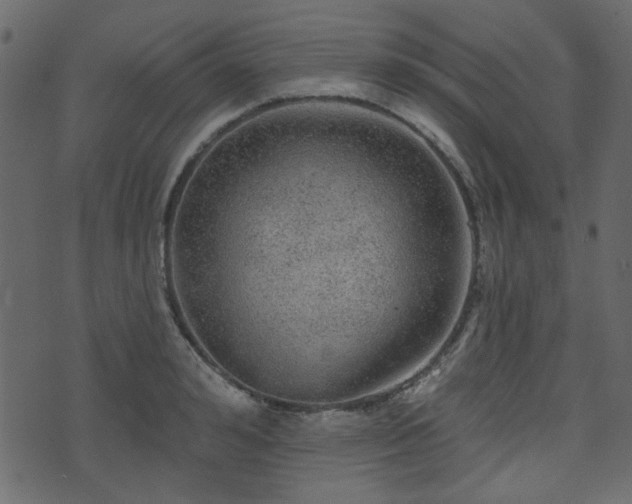 X0000070860992200606231248