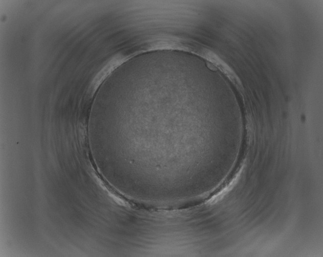 X0000070860993200606231248