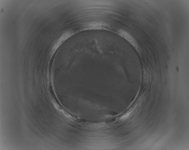 X0000070860994200606231248