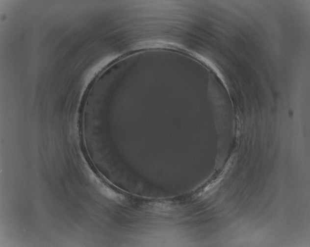 X0000070860995200606231248