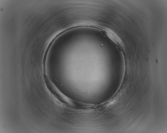 X0000070860996200606231248