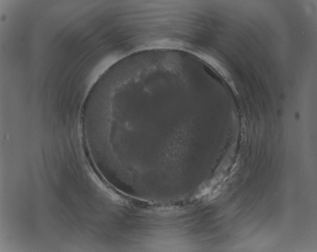 X0000070860998200606231248