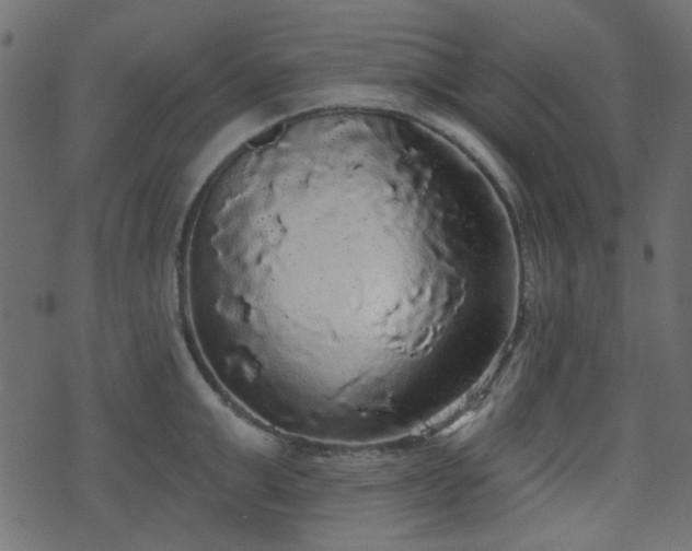 X0000070860999200606231248