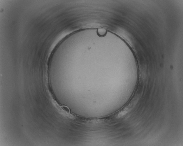 X0000070861000200606231248