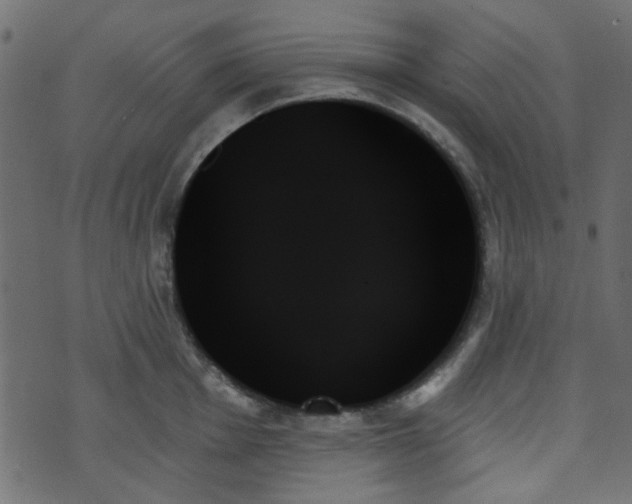 X0000070861001200606231248