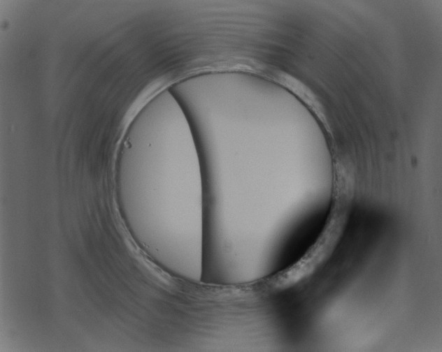 X0000070861002200606231248