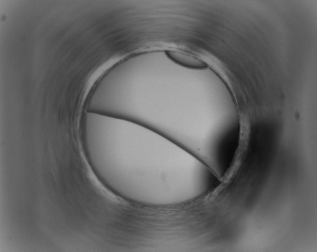 X0000070861003200606231248