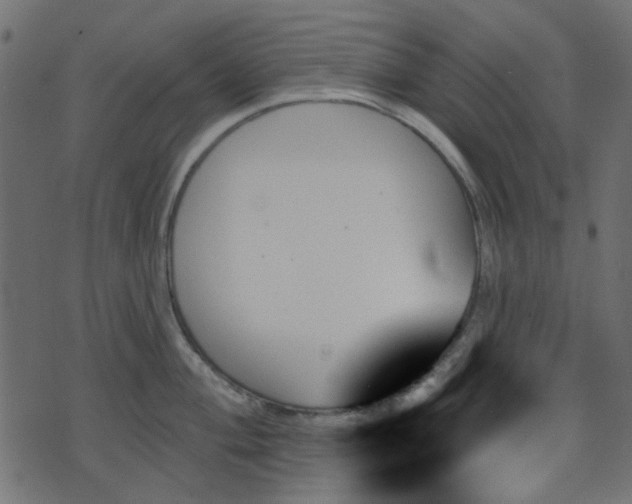 X0000070861004200606231248