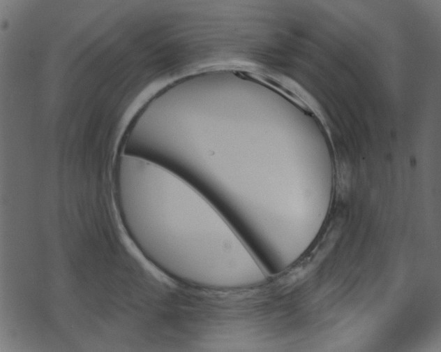 X0000070861005200606231248