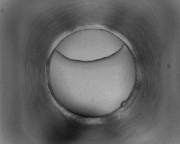 X0000070861006200606231248