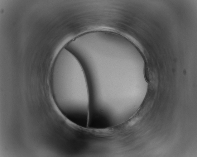 X0000070861007200606231248