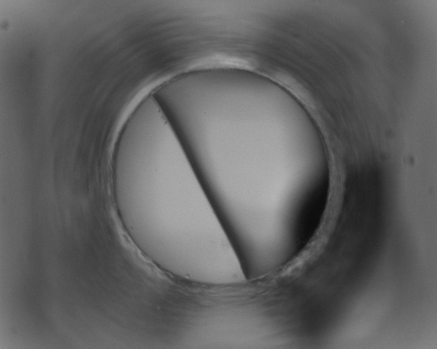 X0000070861008200606231248