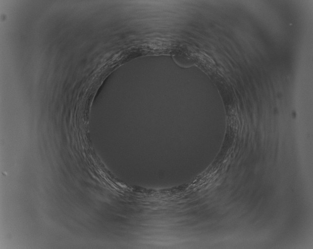 X0000070861009200606231247