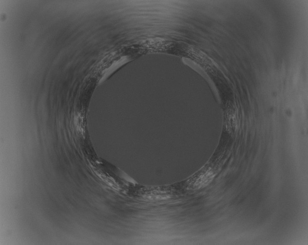 X0000070861010200606231247