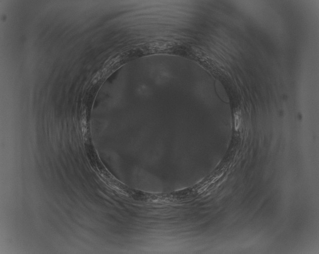 X0000070861011200606231247