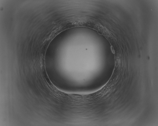 X0000070861012200606231247