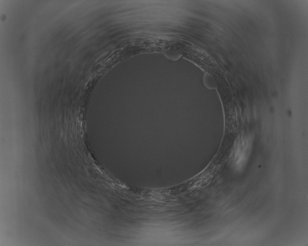 X0000070861013200606231247