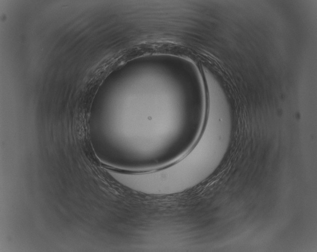 X0000070861014200606231247