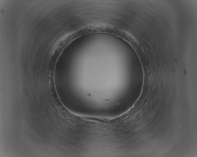 X0000070861016200606231247