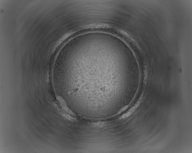 X0000070861017200606231247